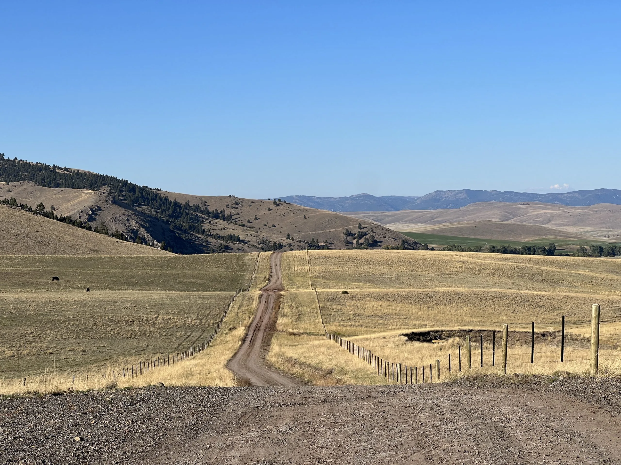 Montana dirt road.